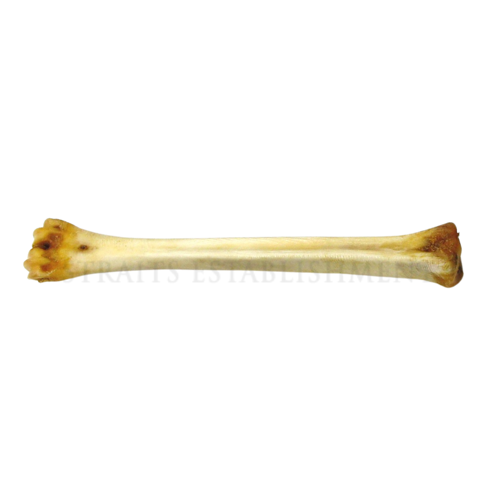 AbbeyHorn Deer Polishing Bone
