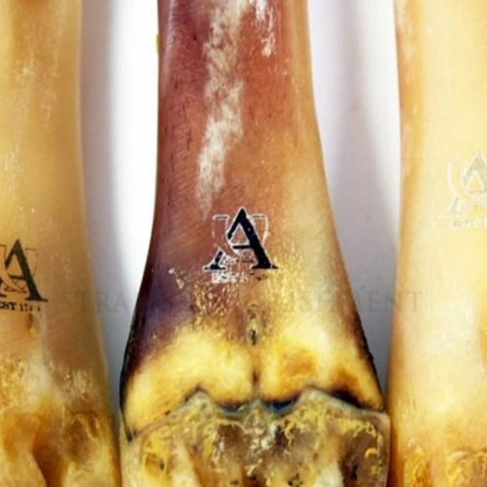 AbbeyHorn Deer Polishing Bone